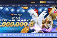 MCW - Kết Hợp Truyền Thống Đá Gà Cùng Công Nghệ Hiện Đại