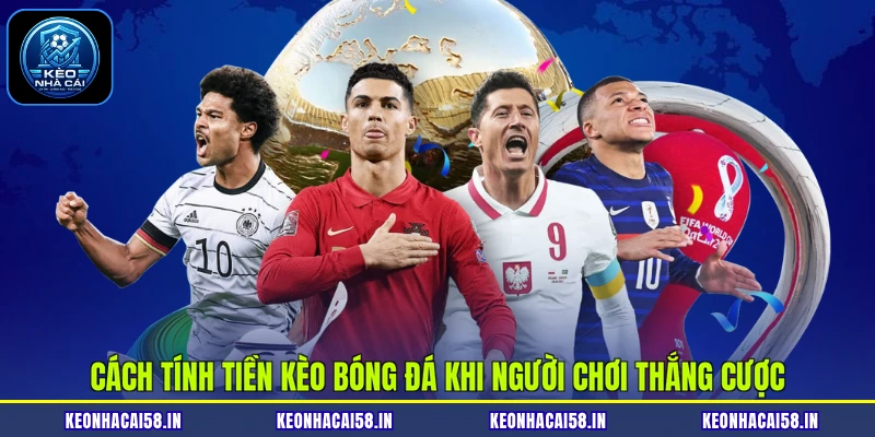Cách tính tiền kèo bóng đá khi người chơi thắng cược