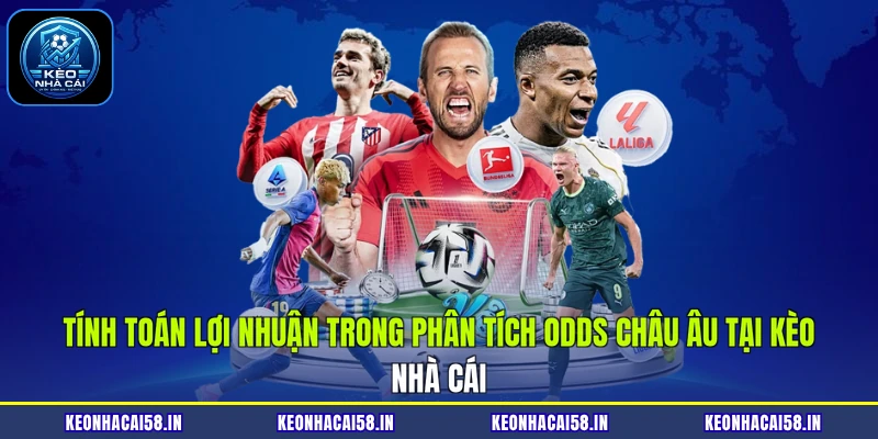 Phân Tích Odds Châu Âu Chuẩn Xác Hôm Nay Cùng Kèo Nhà Cái 3 Tính toán lợi nhuận trong phân tích odds châu Âu tại Kèo Nhà Cái
